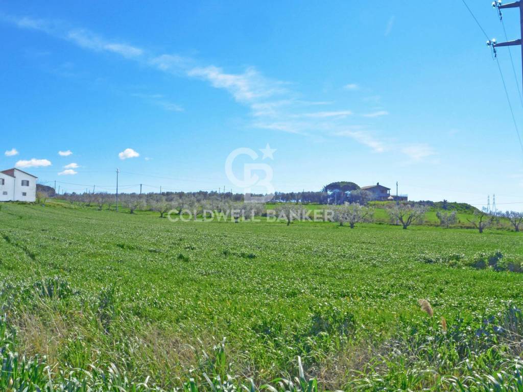 Terreno a Tarquinia in Località Pantano di Sotto - Foto 2