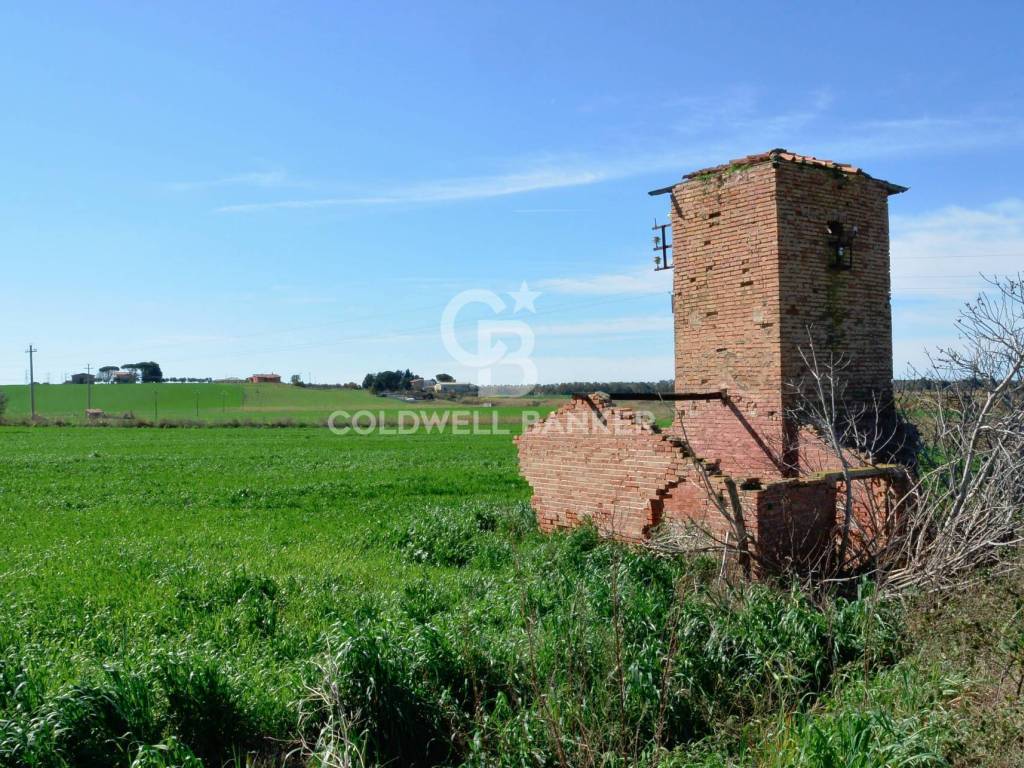 Terreno a Tarquinia in Località Pantano di Sotto - Foto 5