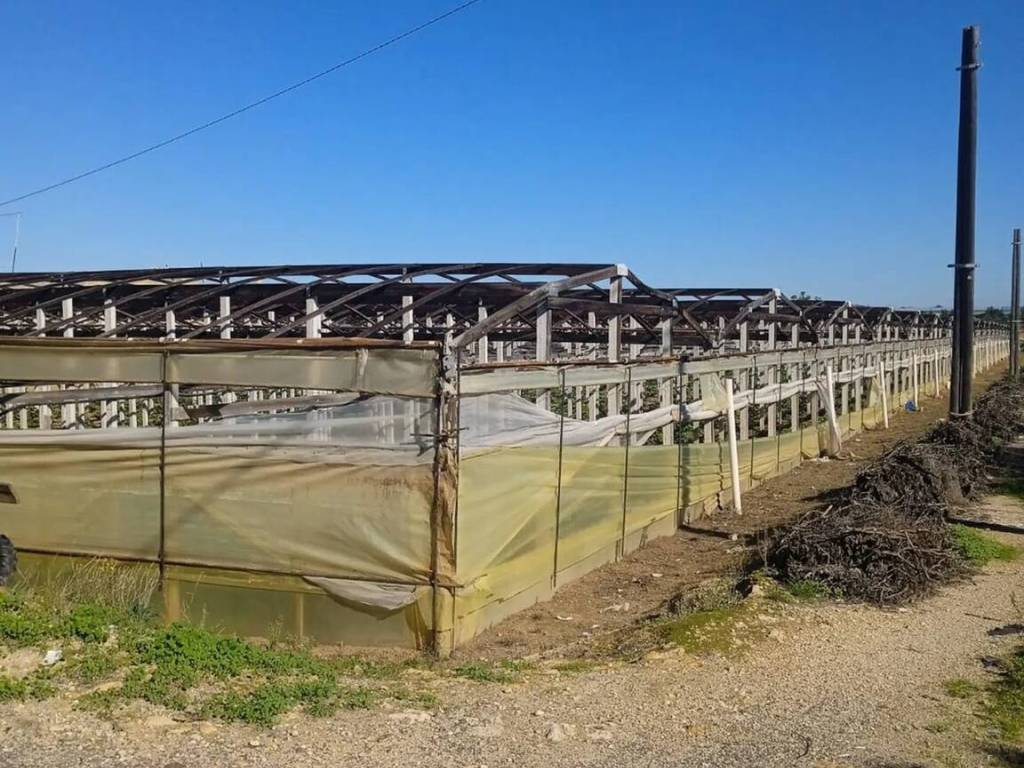 Terreno a Ragusa in Zona Passo Marinaro S.N.C. - Foto 3