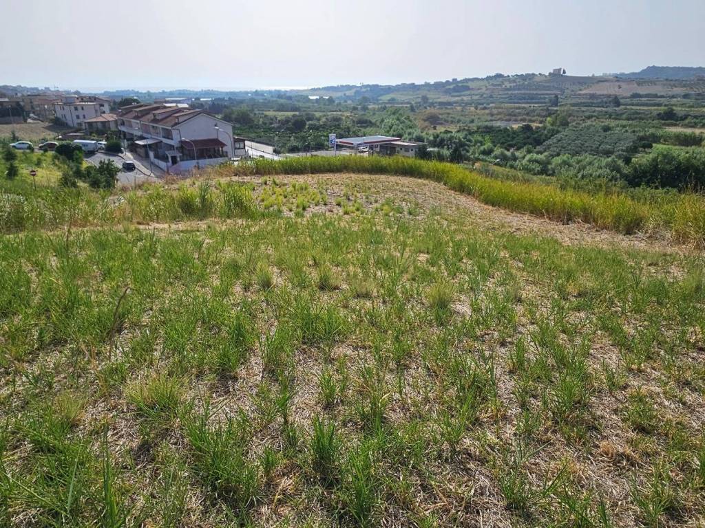 Terreno a Satriano - Foto 2