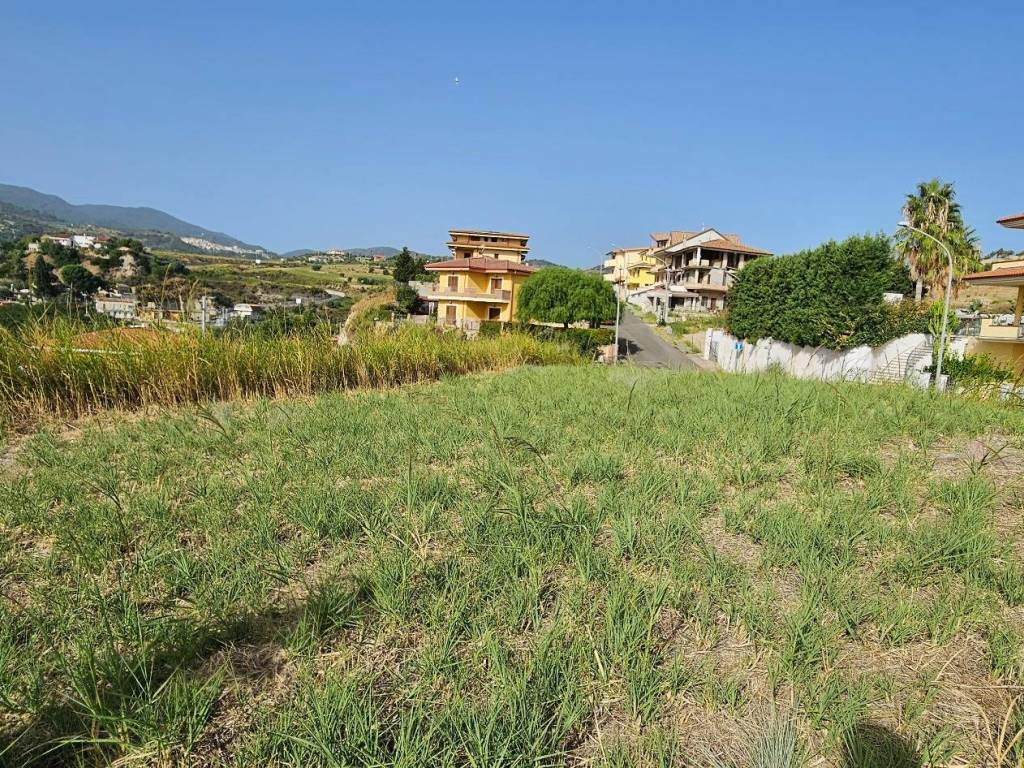 Terreno a Satriano - Foto 5