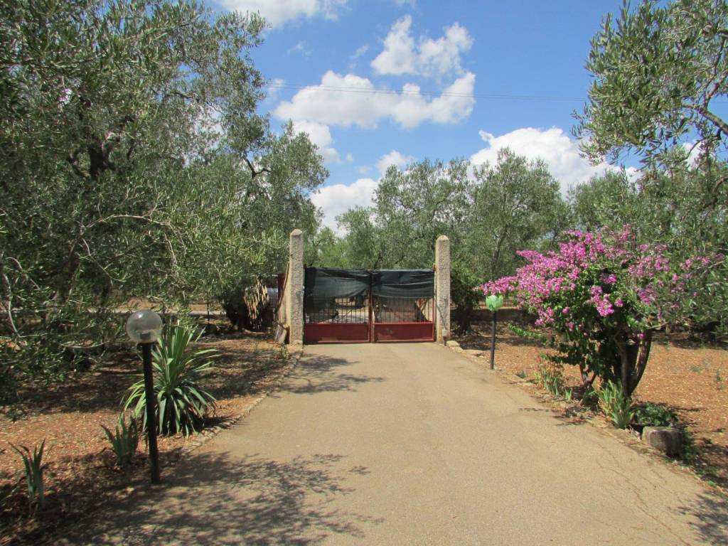 Villa a Sannicandro di bari in Strada Comunale Esterna Via Modugno - Foto 3