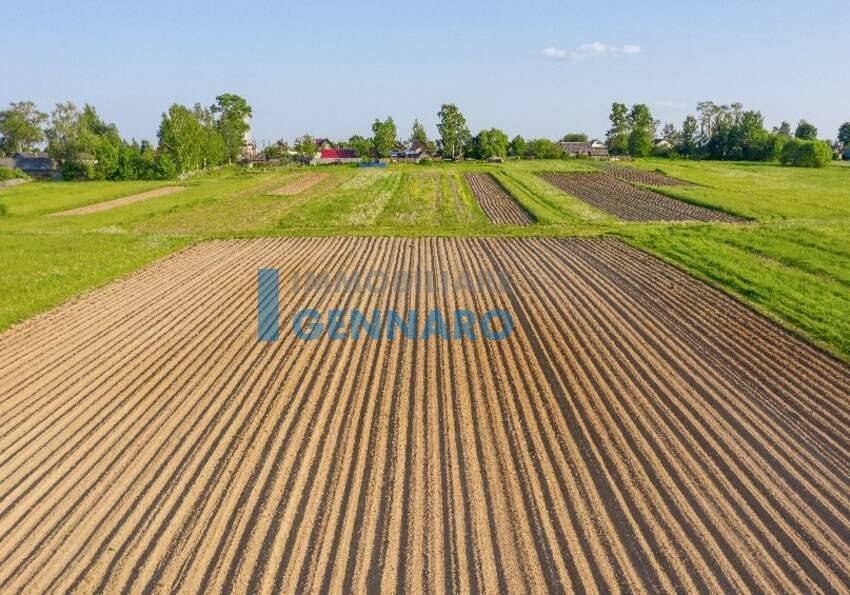 Terreno a Visco - Foto 2