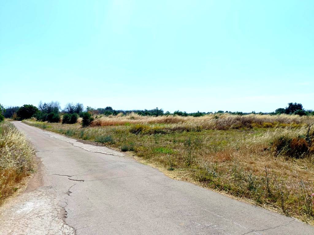 Terreno a Montesano salentino in Belvedere Supersano - Foto 2