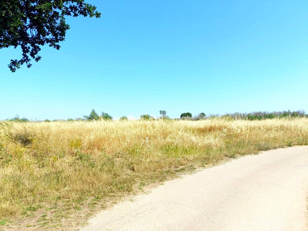 Terreno a Montesano salentino in Belvedere Supersano - Foto 3