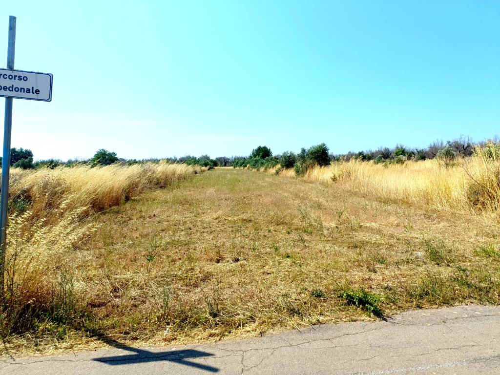 Terreno a Montesano salentino in Belvedere Supersano - Foto 4
