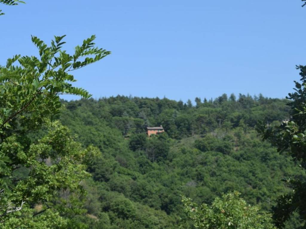 Villa a Umbertide - Foto 2