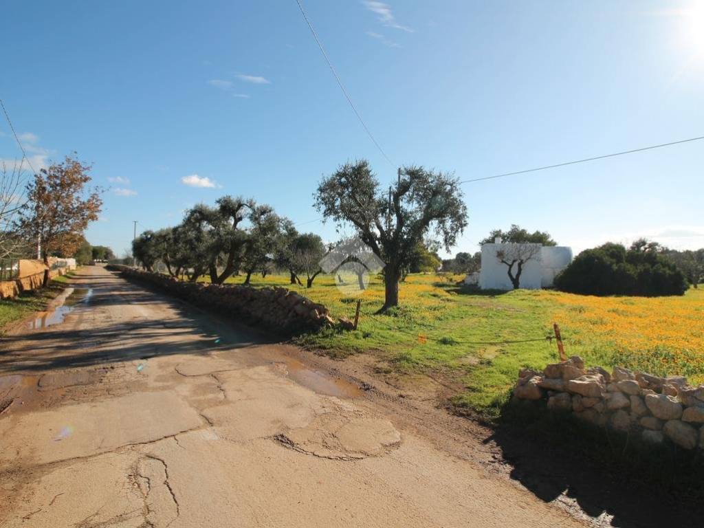 Rustico / casale a Ostuni - Foto 2