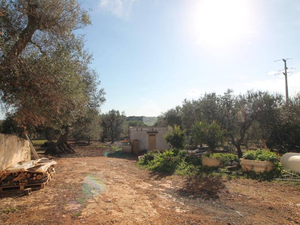 Rustico / casale a Ostuni - Foto 4