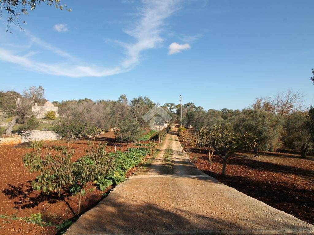 Rustico / casale a Ostuni - Foto 5