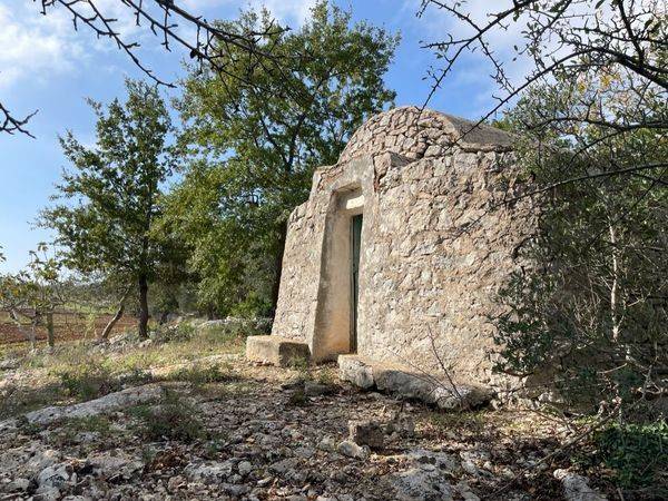 Rustico / casale a Ceglie messapica in Tratturo Ferruzzo - Foto 3