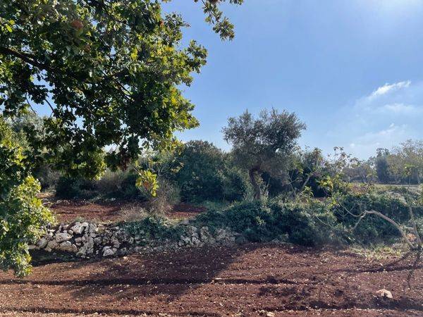 Rustico / casale a Ceglie messapica in Tratturo Ferruzzo - Foto 4