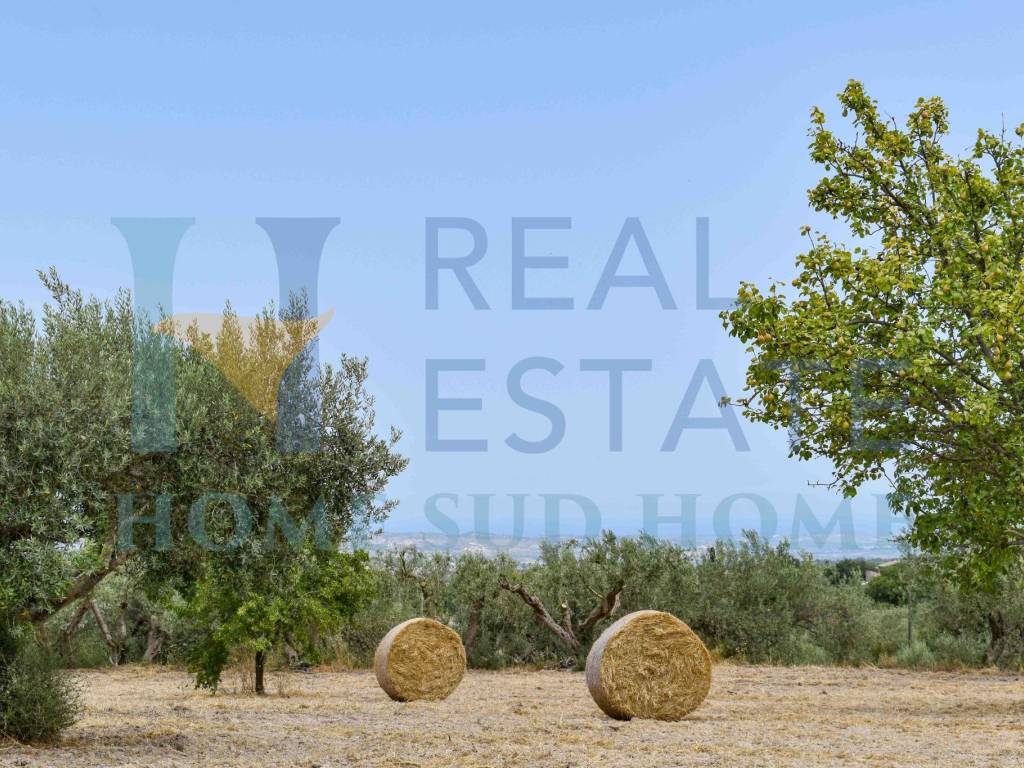 Rustico / casale a Modica in Contrada Musebbi - Foto 3