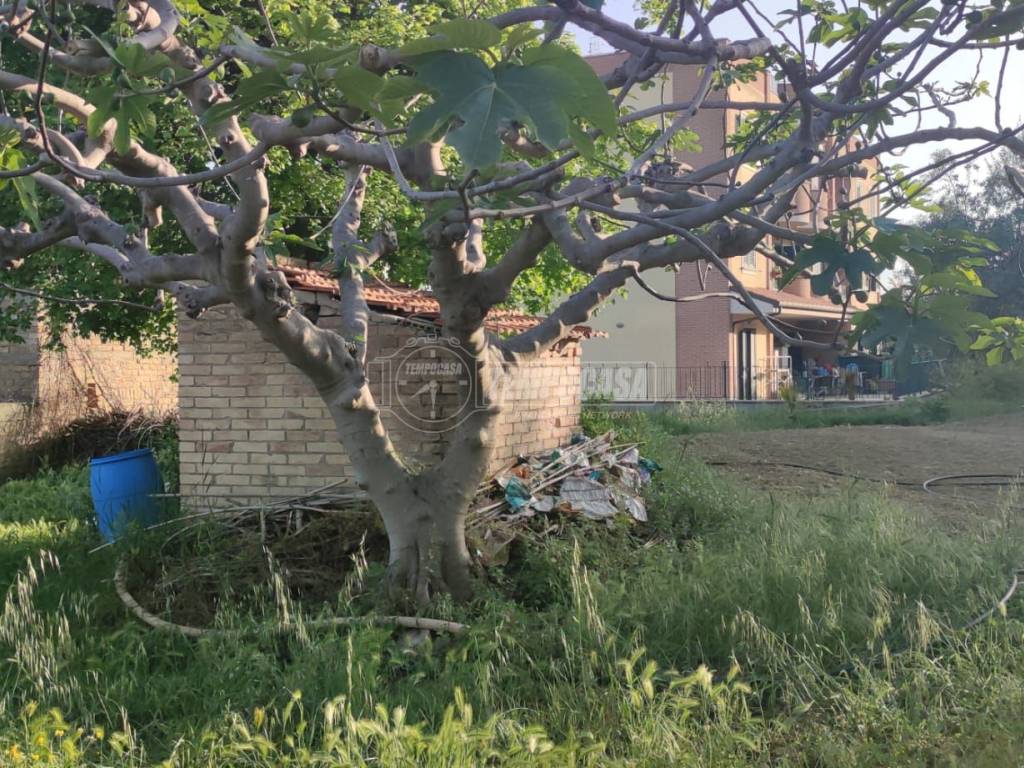Terreno a San benedetto del tronto in Via Ugo la Malfa 1 - Foto 5