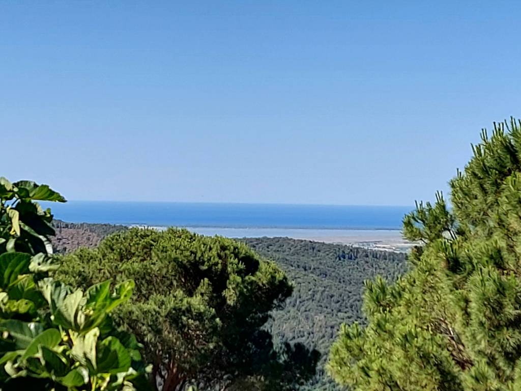 Casa indipendente a Castiglione della pescaia in Via dei Castagni - Foto 2