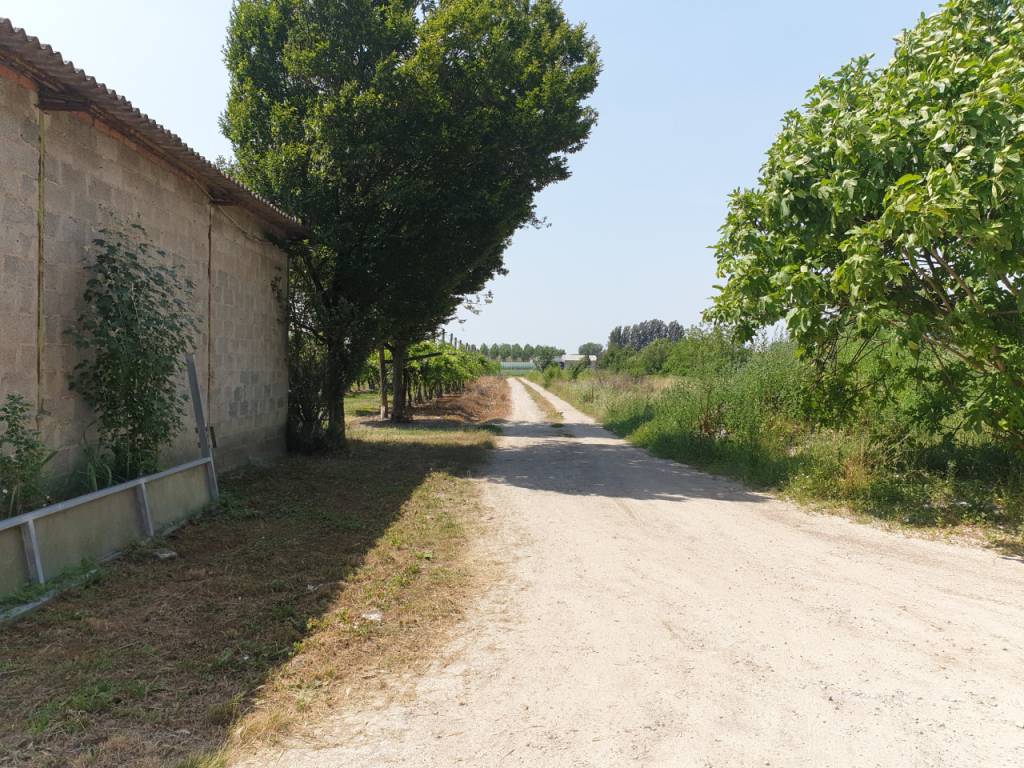 Casa indipendente a San possidonio in VIA PIOPPA - Foto 2