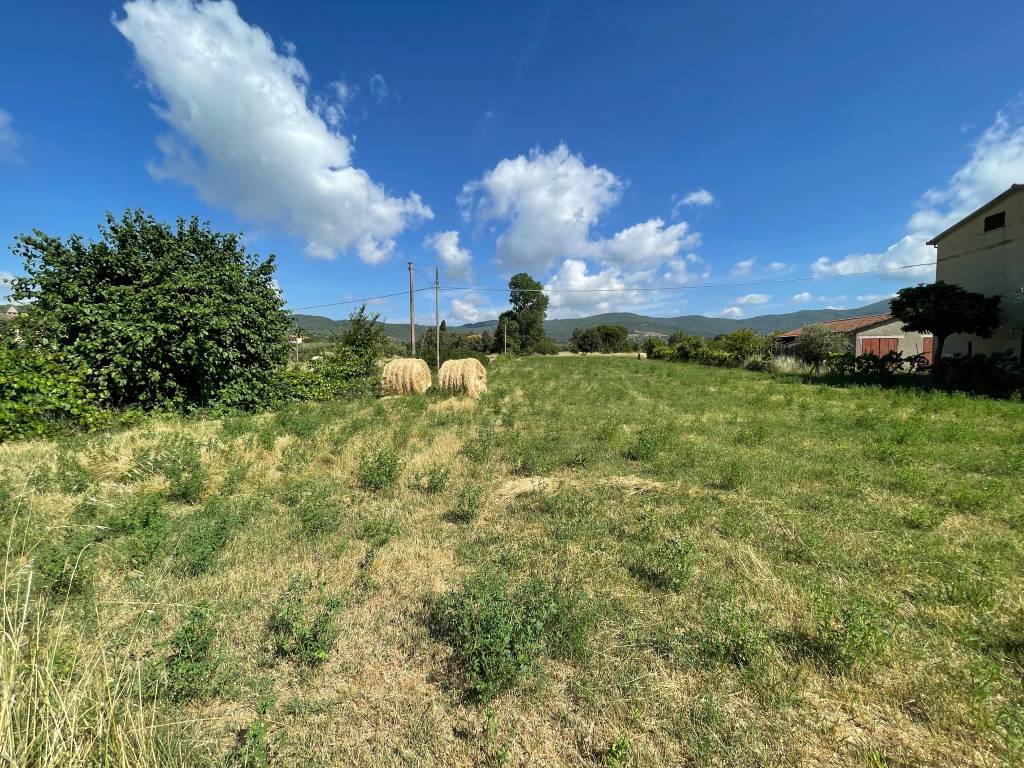Terreno a Tuoro sul trasimeno - Foto 2