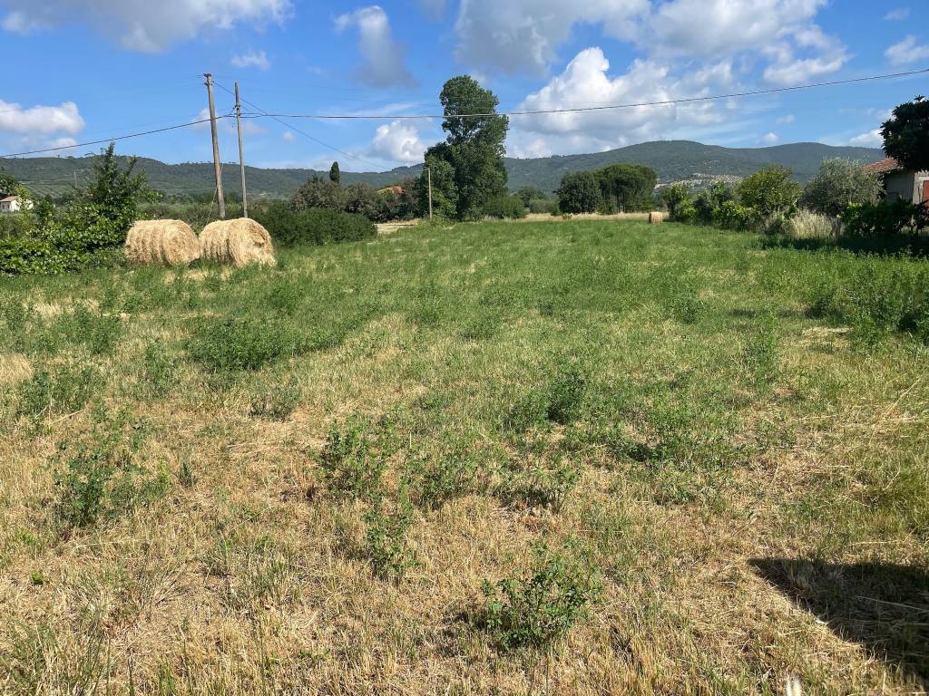 Terreno a Tuoro sul trasimeno - Foto 3
