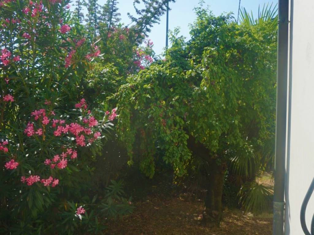 Villa a Russi in Via Molinaccio Provinciale - Foto 4