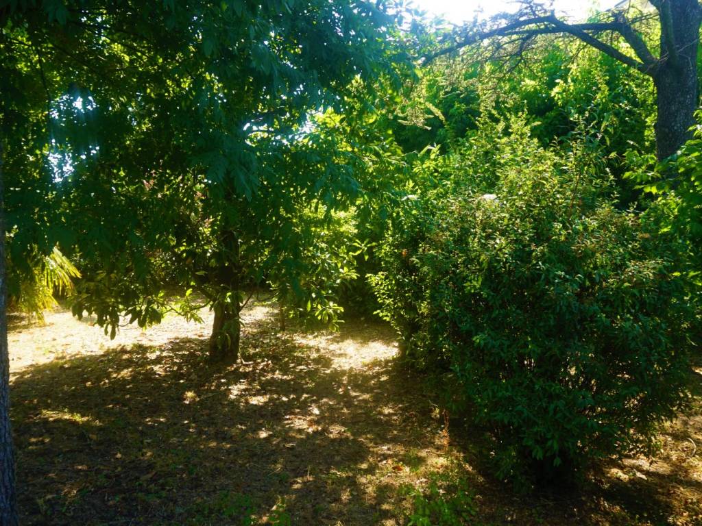 Villa a Russi in Via Molinaccio Provinciale - Foto 5