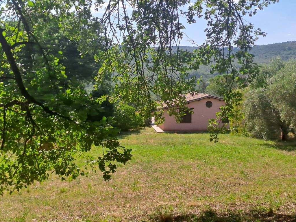 Villa a Amelia in Strada Amelia Giove - Foto 2