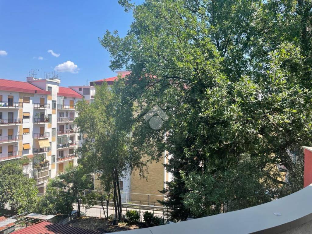 Appartamento a Cosenza in Via Gerolamo de Rada, 58 - Foto 2