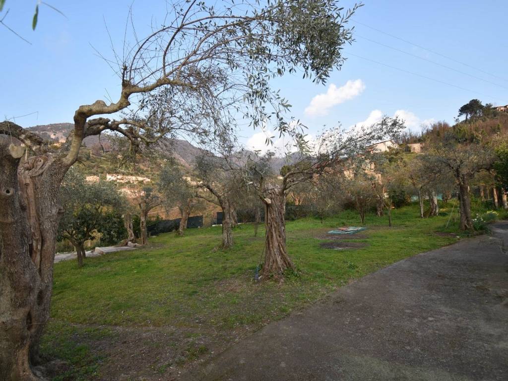 Casa indipendente a Pietrasanta in Via Solaio - Foto 3