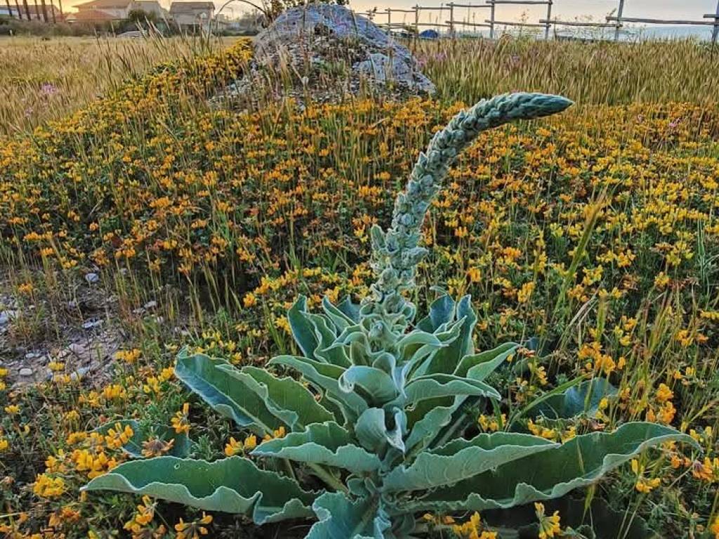 Terreno a Ortona in Contrada Postilli, 33 - Foto 2