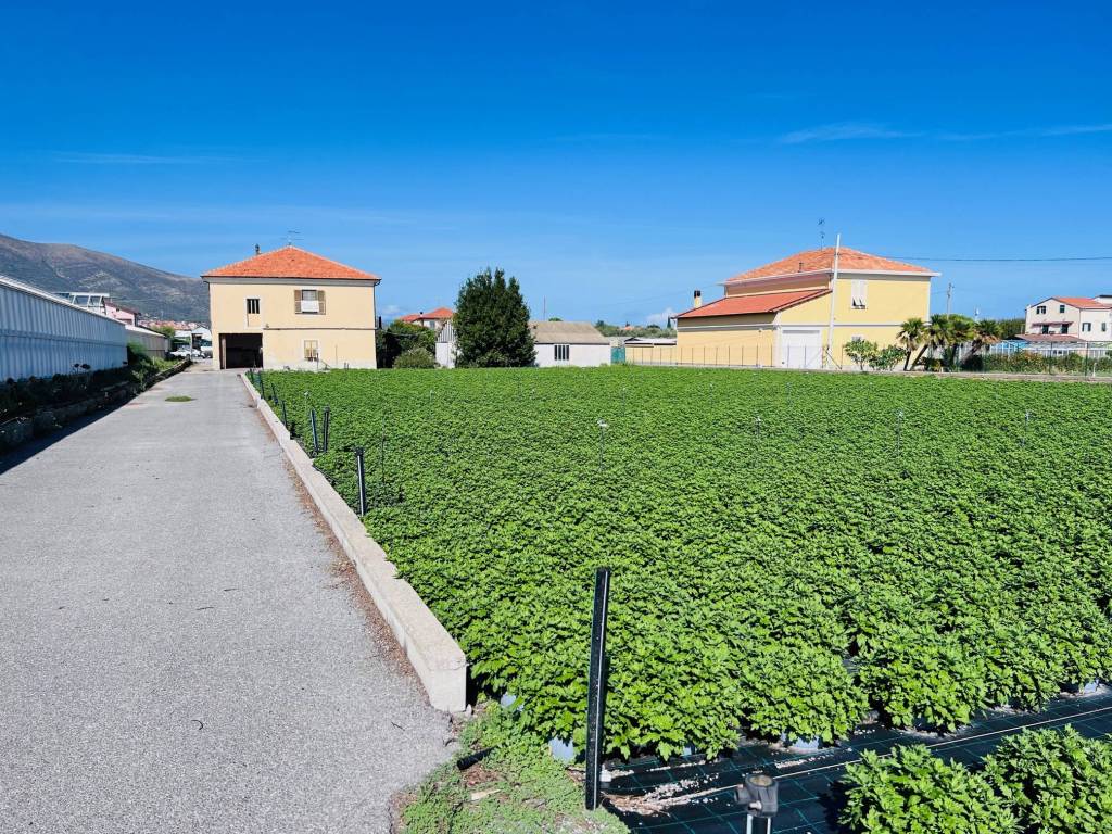 Villa a Albenga in Regione Rollo, 33 - Foto 4