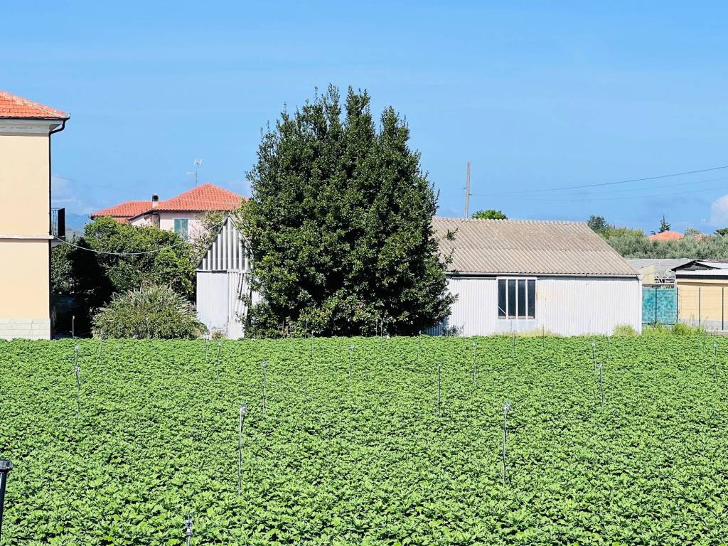 Villa a Albenga in Regione Rollo, 33 - Foto 5