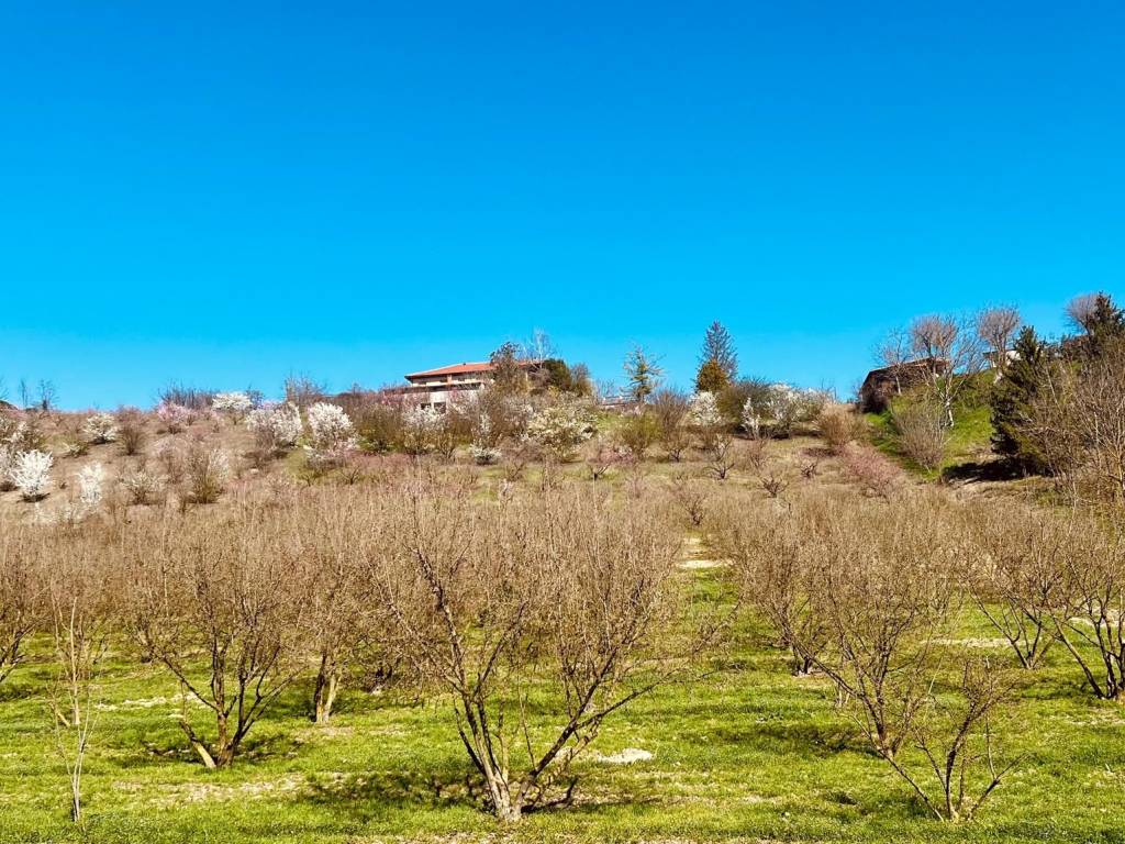 Rustico / casale a Asti in Corso Alba - Foto 4