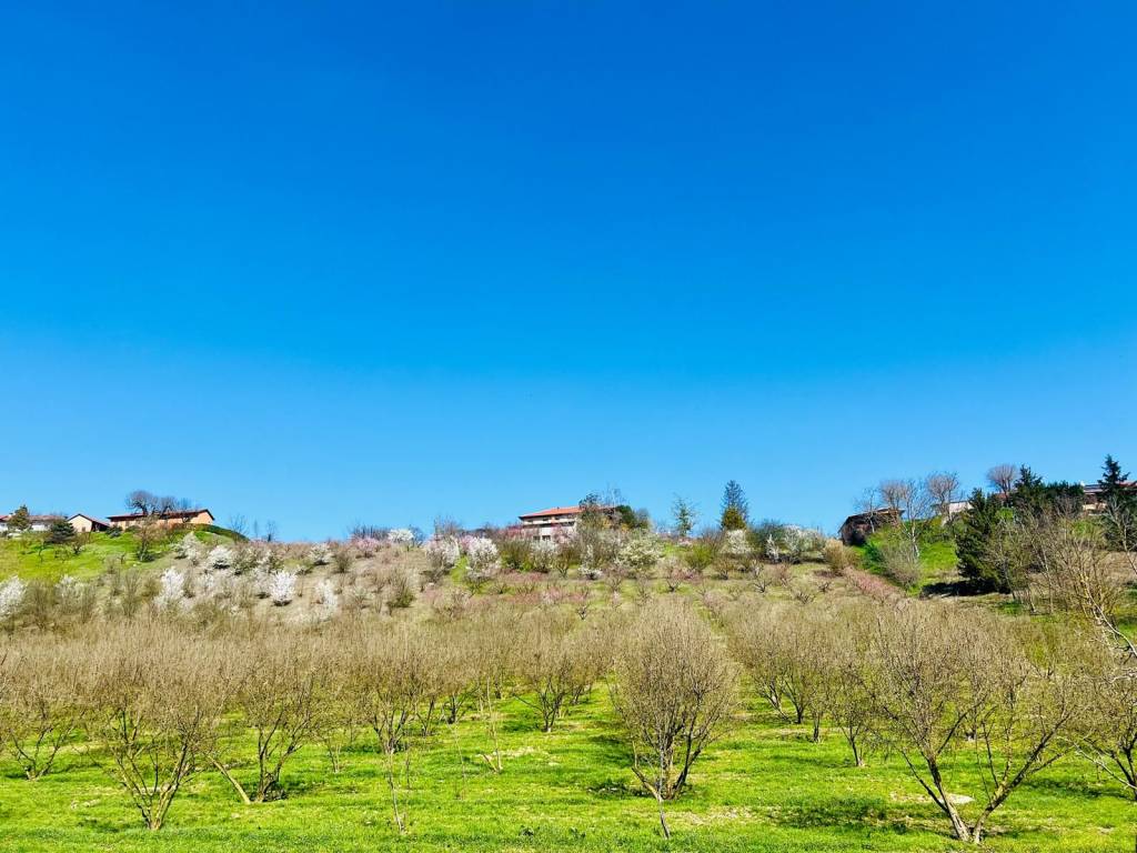 Rustico / casale a Asti in Corso Alba - Foto 5