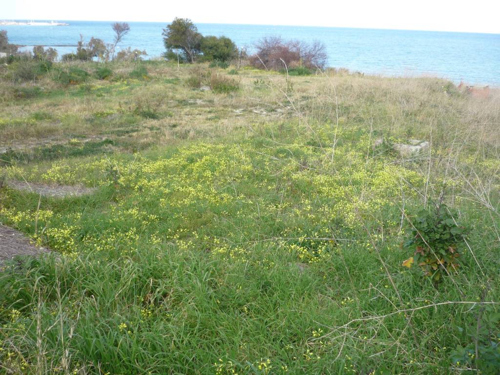 Terreno a Crotone in Via Poseidonia - Foto 2