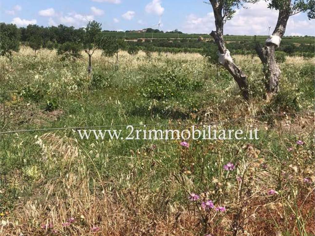 Terreno a Mazara del vallo in Località Borgata Costiera - Foto 2