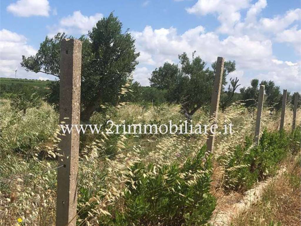 Terreno a Mazara del vallo in Località Borgata Costiera - Foto 3