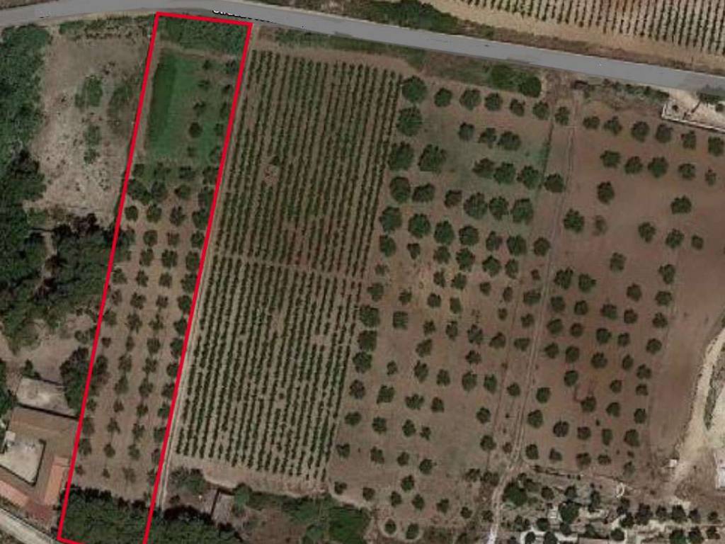 Terreno a Mazara del vallo - Foto 2