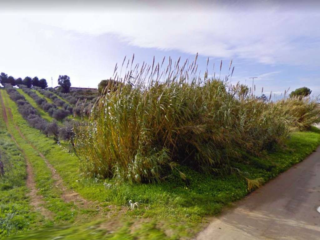 Terreno a Mazara del vallo - Foto 3