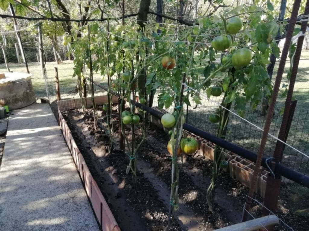 Appartamento a Pontelatone - Foto 5