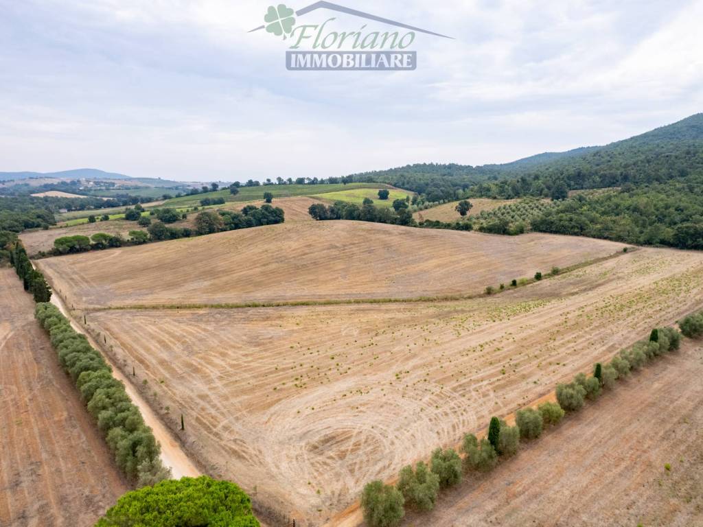 Rustico / casale a Capalbio in Strada della Sgrilla - Foto 2