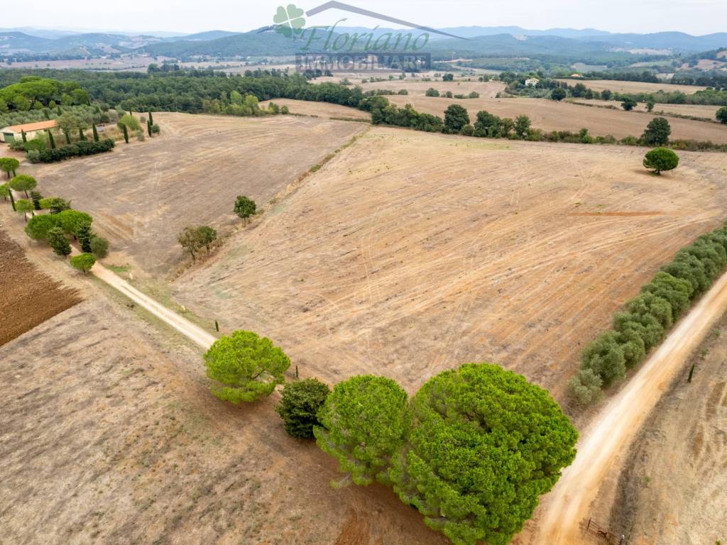 Rustico / casale a Capalbio in Strada della Sgrilla - Foto 3