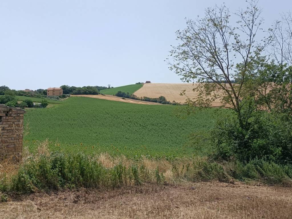 Rustico / casale a Monte san giusto in Via San Tossano - Foto 5