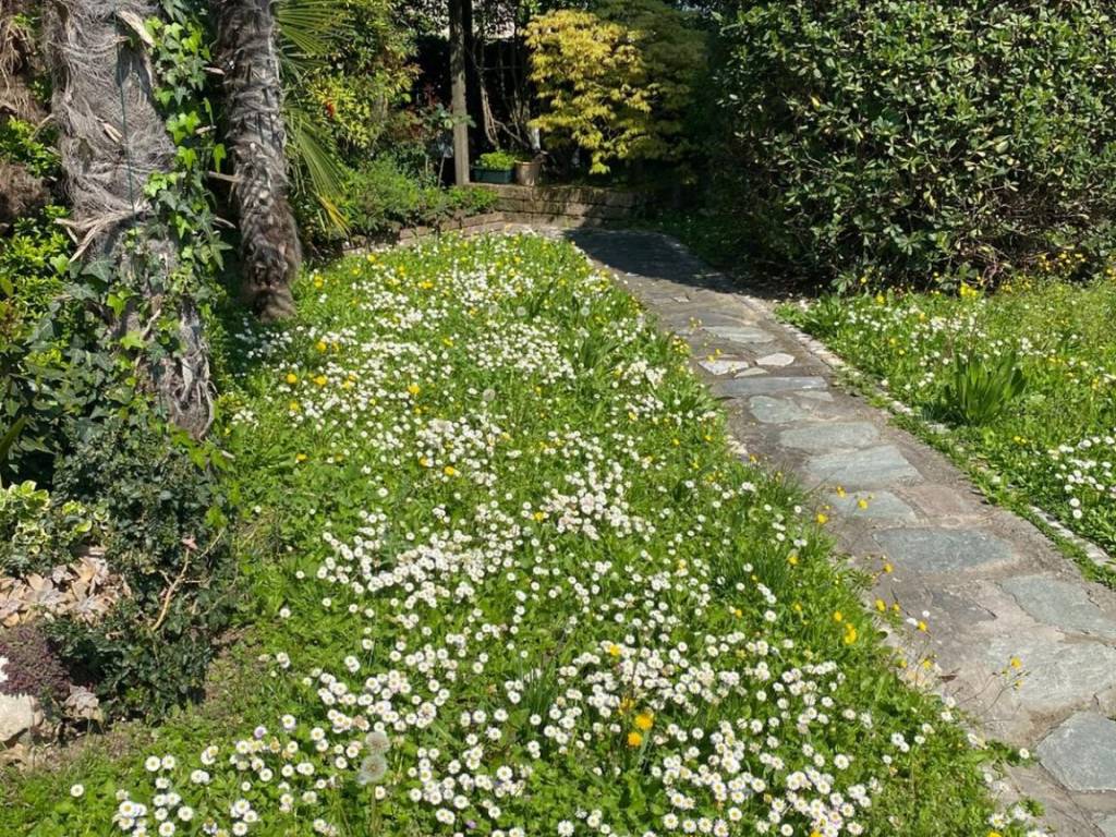 Villa a Massa lombarda - Foto 2