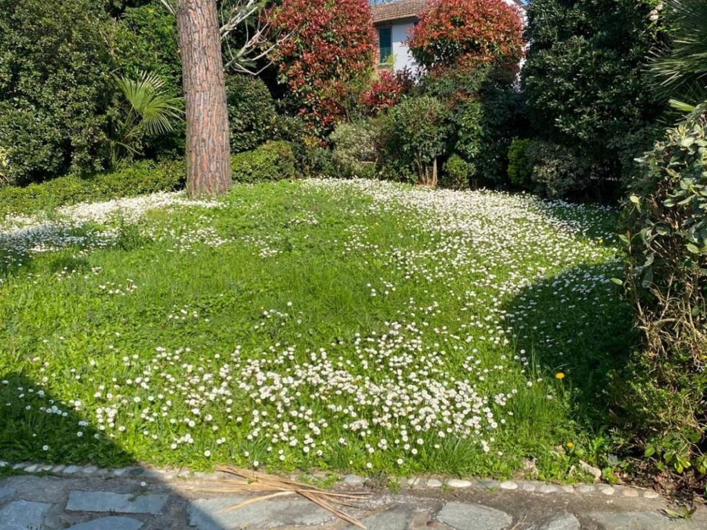 Villa a Massa lombarda - Foto 3