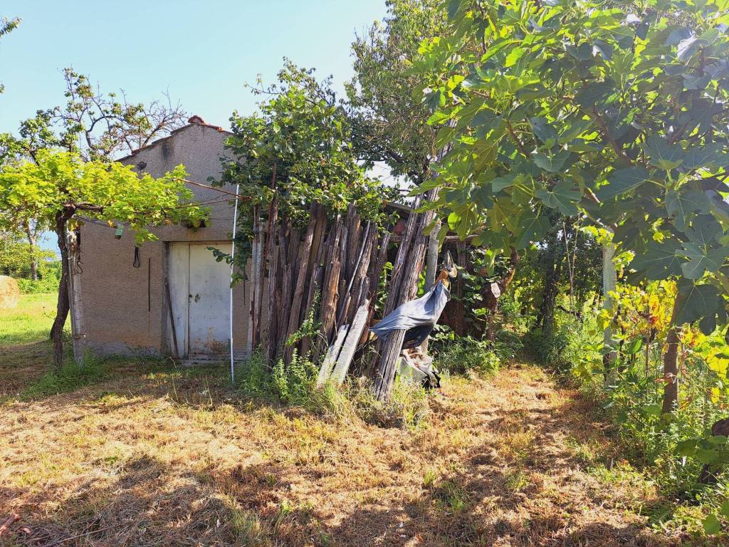 Rustico / casale a Anagni in Via Casilina Stazione Anagni - Foto 4