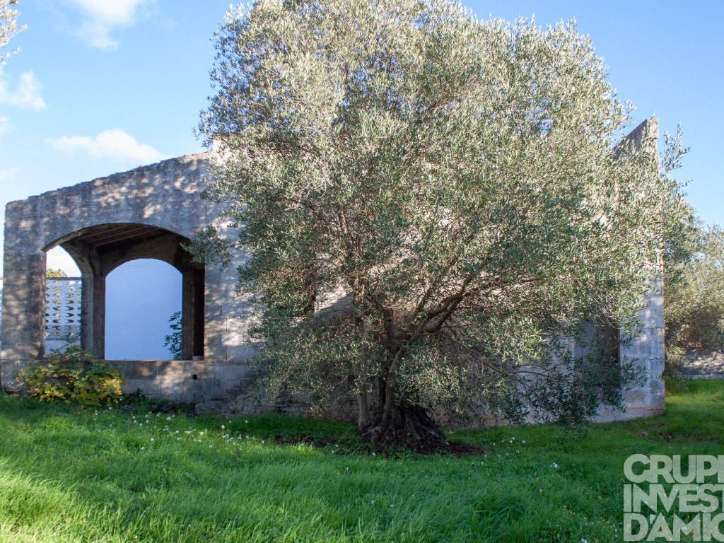 Villa a Ostuni in Contrada Martucci, Ostuni - Foto 3