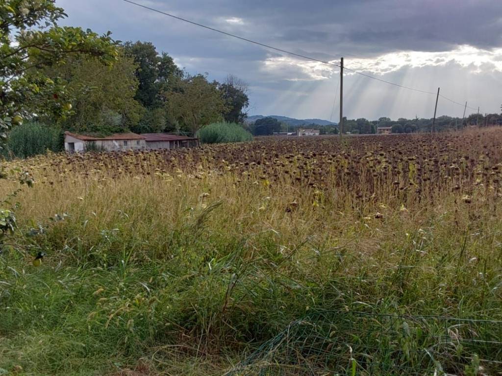 Casa indipendente a Recanati - Foto 5