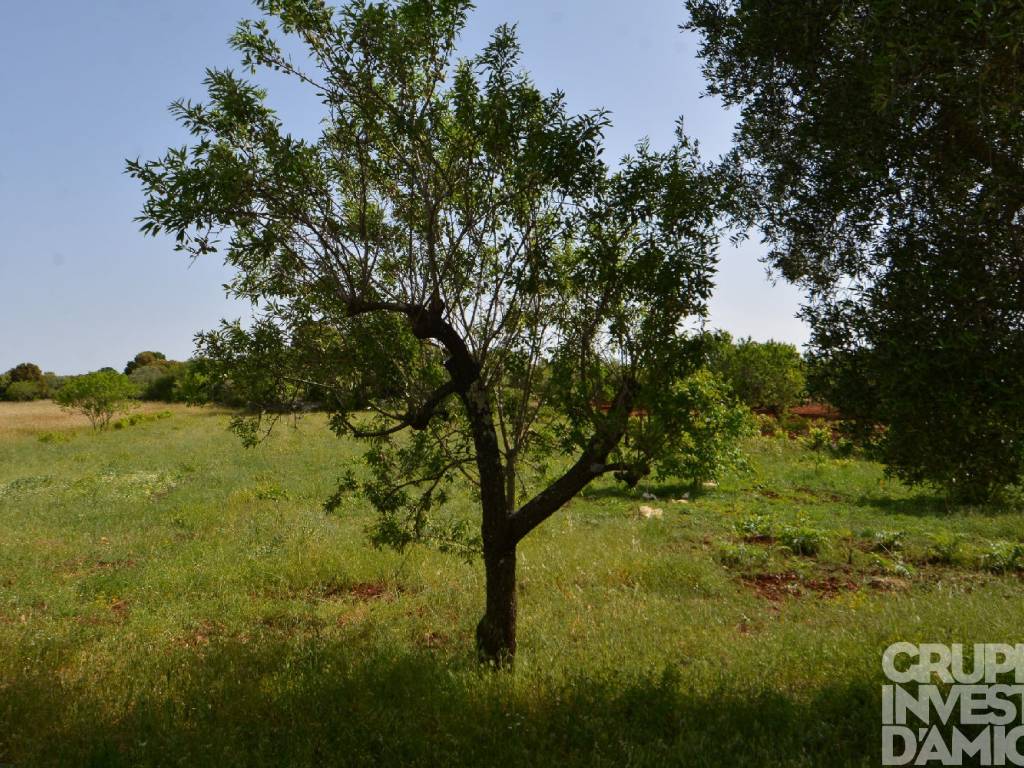 Rustico / casale a Ceglie messapica in Contrada Iazzo - Foto 4