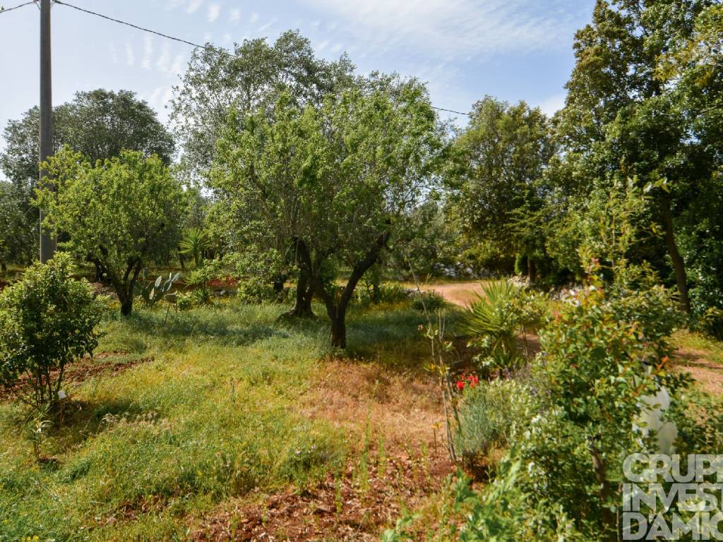 Rustico / casale a Ceglie messapica in Contrada Iazzo - Foto 5