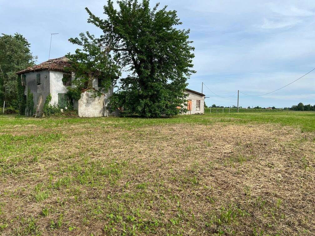 Rustico / casale a Salgareda - Foto 2