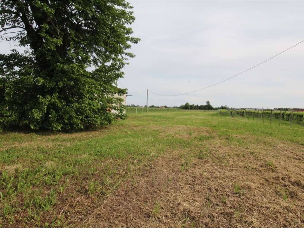 Rustico / casale a Salgareda - Foto 4